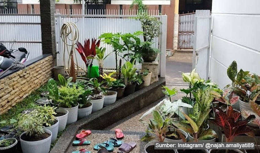 10 Model Taman Depan Rumah Minimalis Lahan Sempit yang Aesthetic, Cocok untuk Hunian di Perkotaan