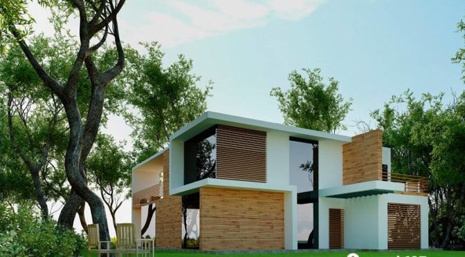 Jenis Tanaman yang Tidak Boleh Ditanam di Depan Rumah Menurut Feng Shui, Ada yang Identik dengan Kematian