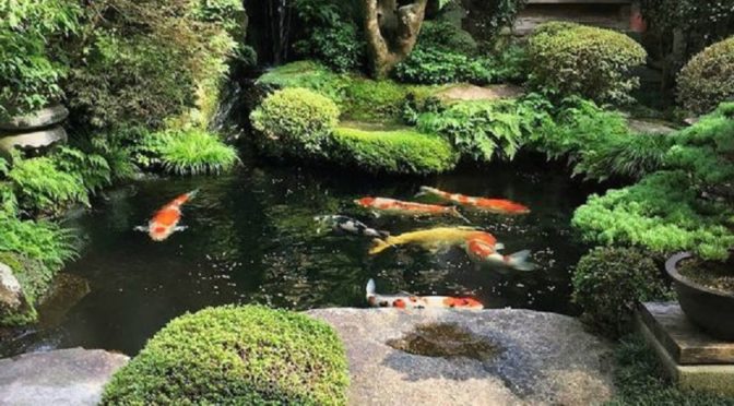 17 Inspirasi Kolam Ikan Depan Rumah, Pilih Gaya Minimalis atau Desain Jepang?