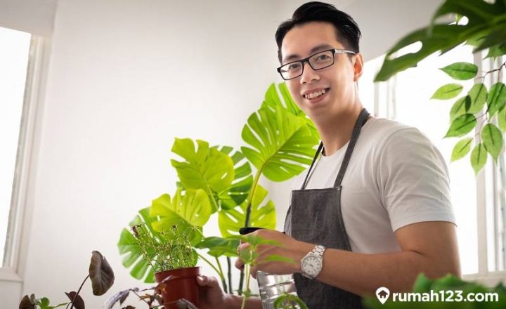 cara membasmi jamur pada tanaman