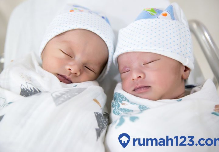 cara mendapatkan anak kembar