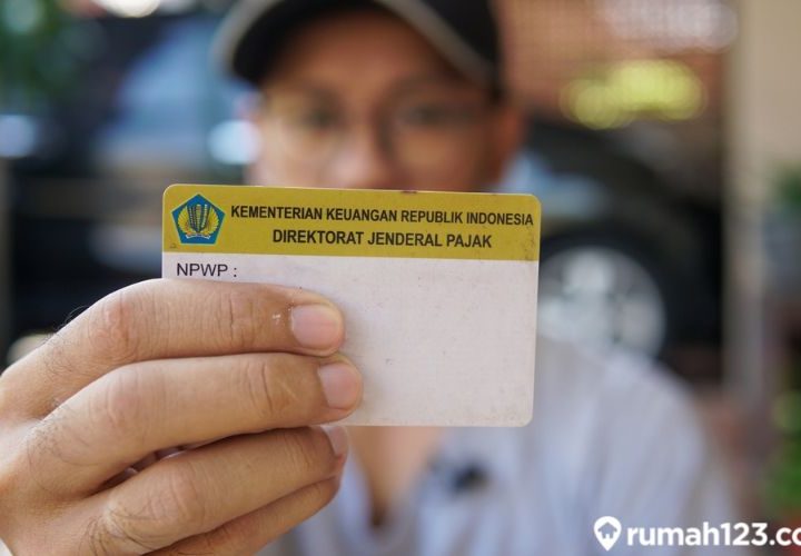cek npwp online