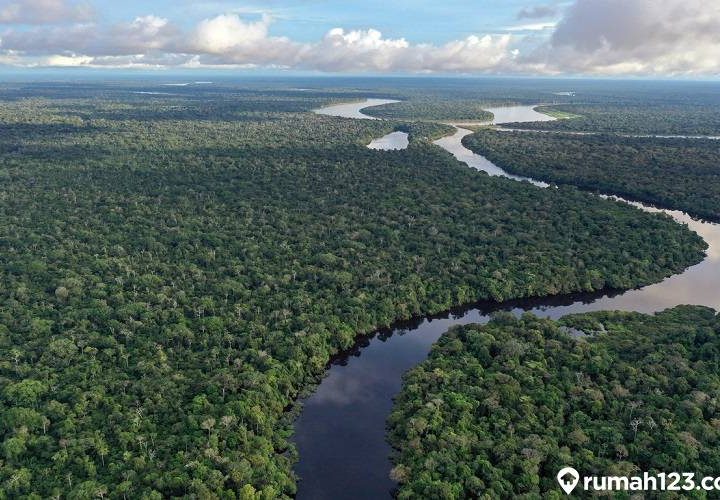 sungai amazon di amerika selatan