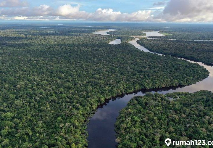 sungai amazon di amerika selatan