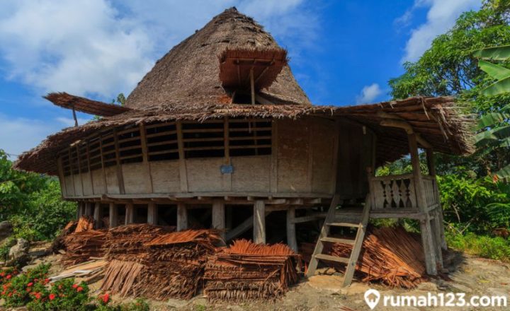 rumah adat nias