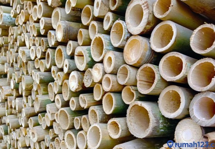 harga bambu