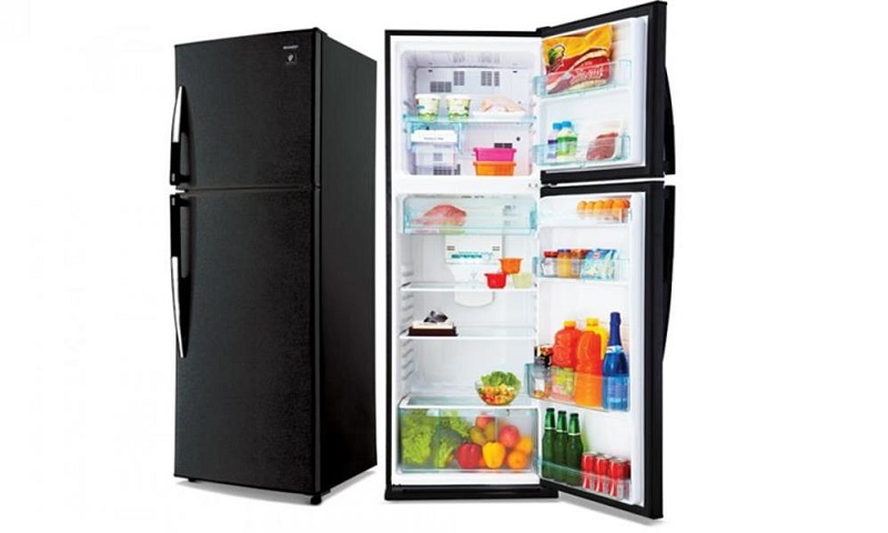 How to get rid of fruit flies, keeping in the refrigerator