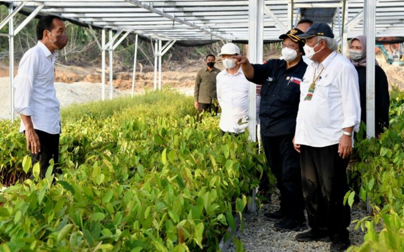 Jokowi Optimis IKN Nusantara Di Kaltim Bisa Dihuni Pada 17 Agustus 2024