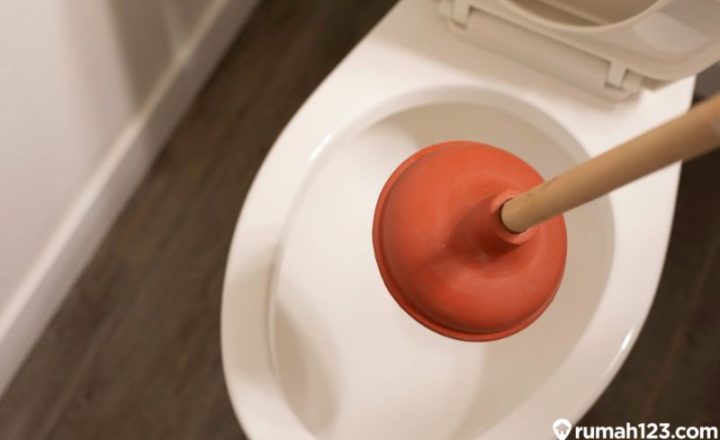 Cara Mengatasi WC Mampet dengan Garam