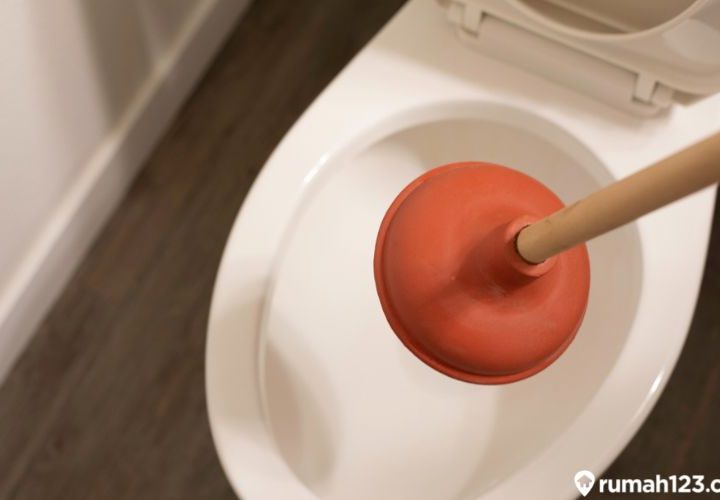 Cara Mengatasi WC Mampet dengan Garam