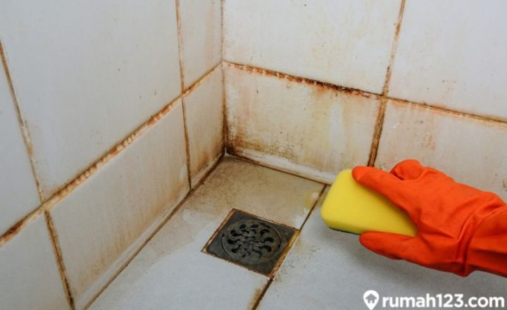 pembersih kerak kamar mandi