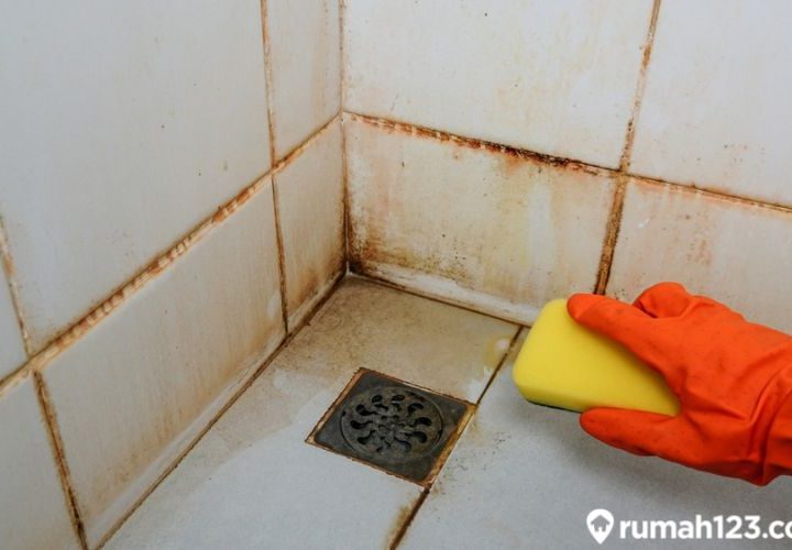 pembersih kerak kamar mandi