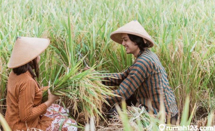 Contoh Teks Laporan Hasil Observasi tentang Lingkungan
