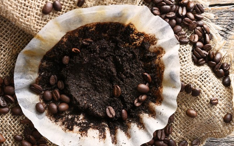 how to get rid of shrews with coffee
