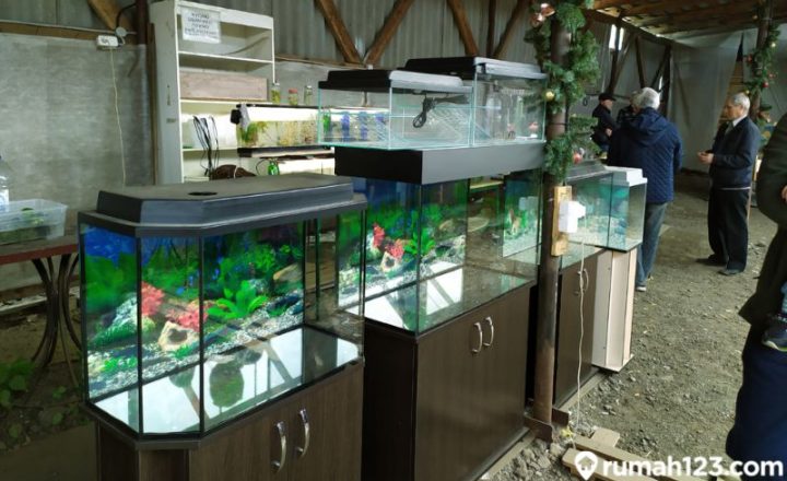 harga aquarium