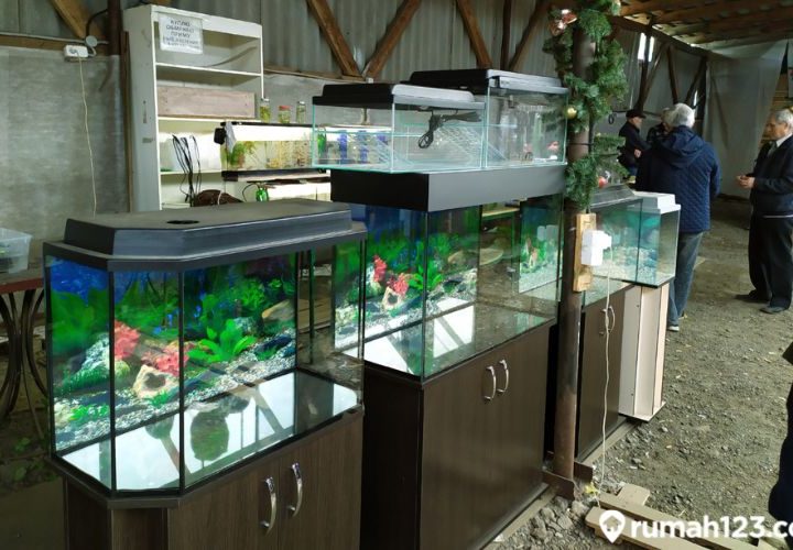 harga aquarium
