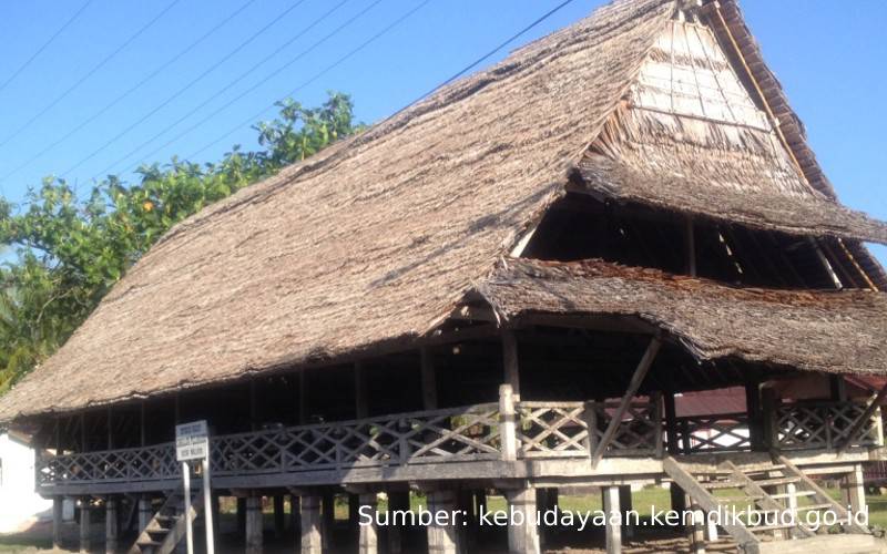 Rumah Adat Baileo Struktur Bangunan Fungsi Dan Keunikannya