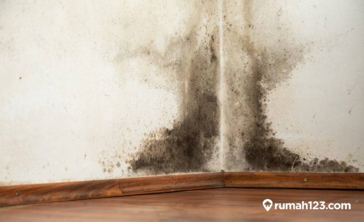 cara mengatasi kamar lembab dan berjamur (1)