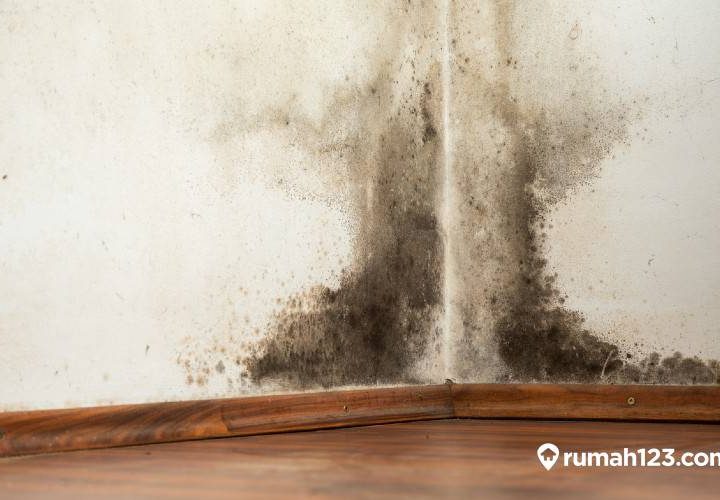 cara mengatasi kamar lembab dan berjamur (1)