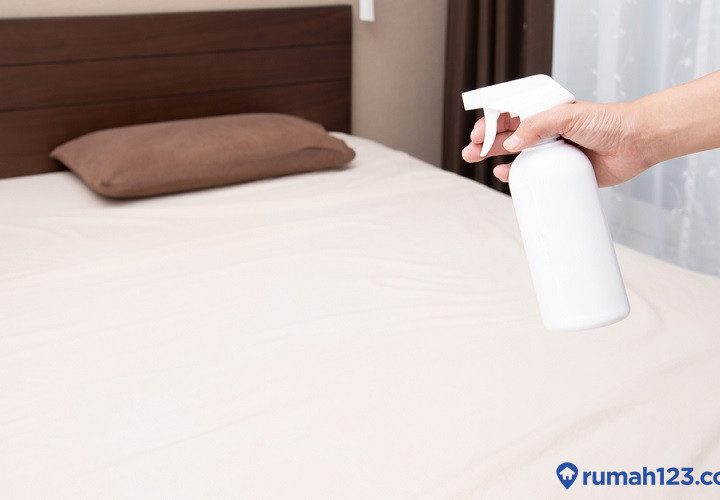 cara menghilangkan kutu kasur dengan garam