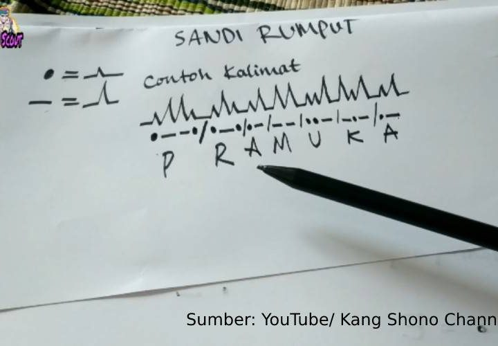 pengertian sandi rumput