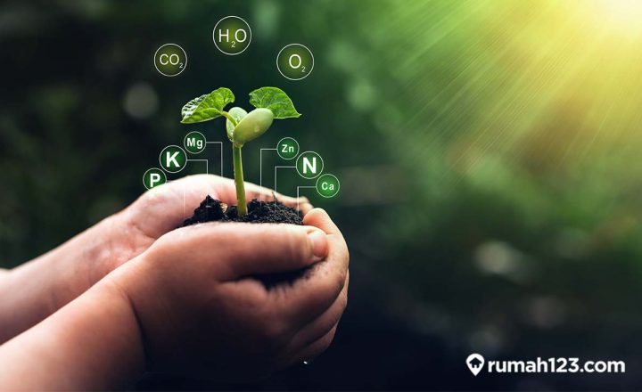 manfaat pupuk urea untuk tanaman
