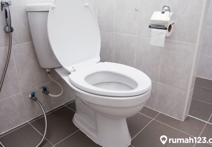 ukuran kloset duduk