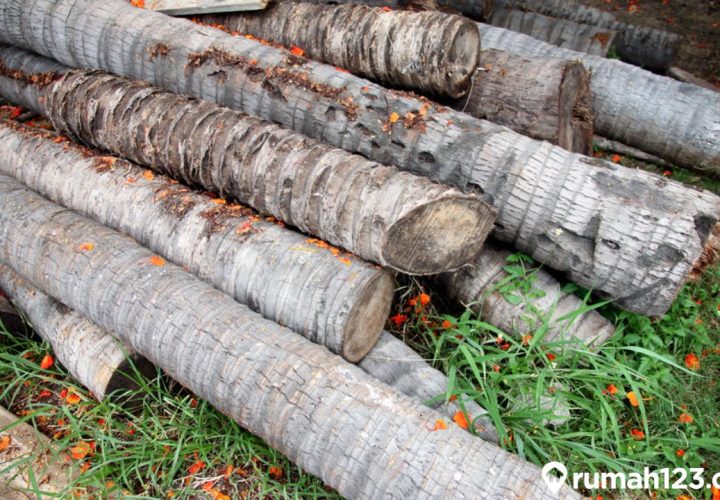 Harga Kayu Kelapa