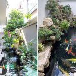 7 Inspirasi Kolam Ikan Koi Minimalis Lahan Sempit yang Dijamin Buat Rumah Makin Sejuk dan Nyaman