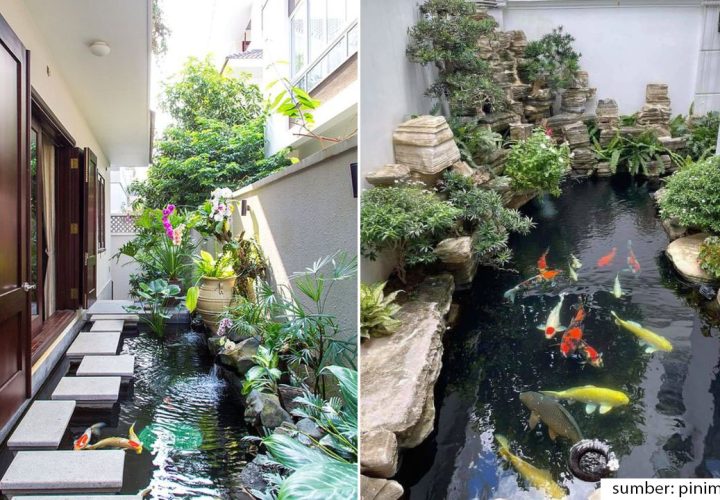 kolam ikan koi minimalis lahan sempit