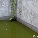 Cara Membuat Kolam Ikan dari Batu Bata yang Benar. Yuk, Coba!