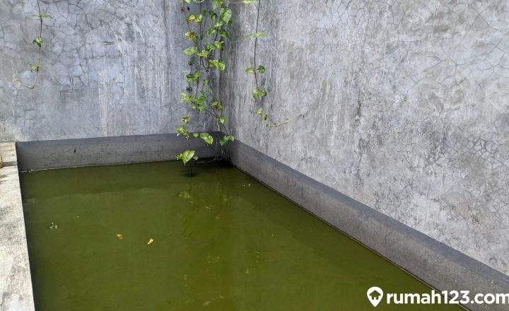 Cara membuat kolam ikan dengan batu bata