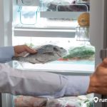 Penyebab Kulkas LG 2 Pintu Bagian Bawah Tidak Dingin, Kamu Wajib Tahu!
