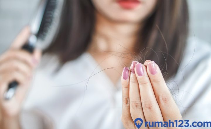 shampo untuk rambut rontok