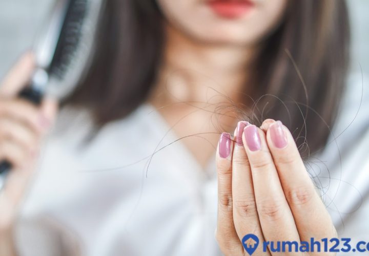 shampo untuk rambut rontok