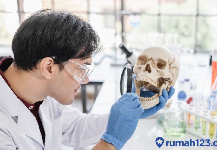 gaji dokter forensik