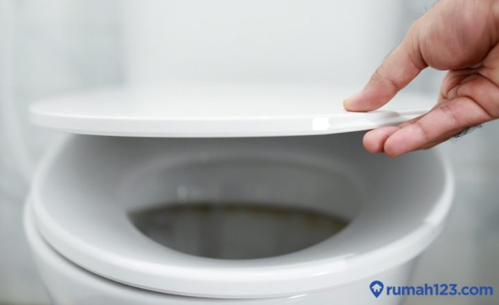 sanitasi layak di indonesia