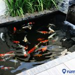 5 Cara Mengatasi Kolam Ikan Bocor yang Benar. Mudah Dilakukan!