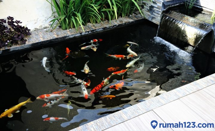 cara mengatasi kolam ikan bocor