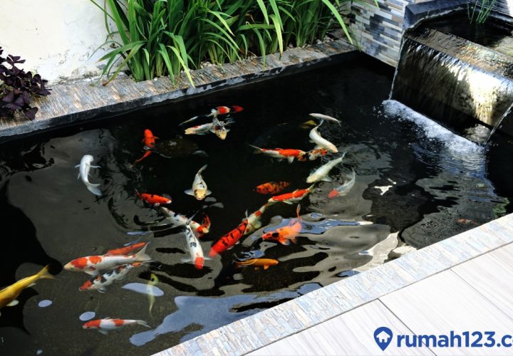 cara mengatasi kolam ikan bocor