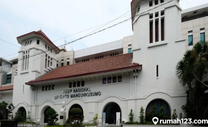 rumah sakit pemerintah rscm