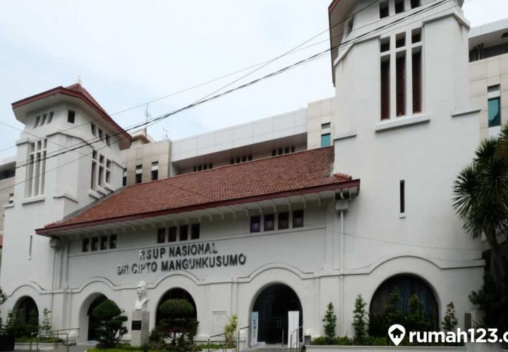 rumah sakit pemerintah rscm