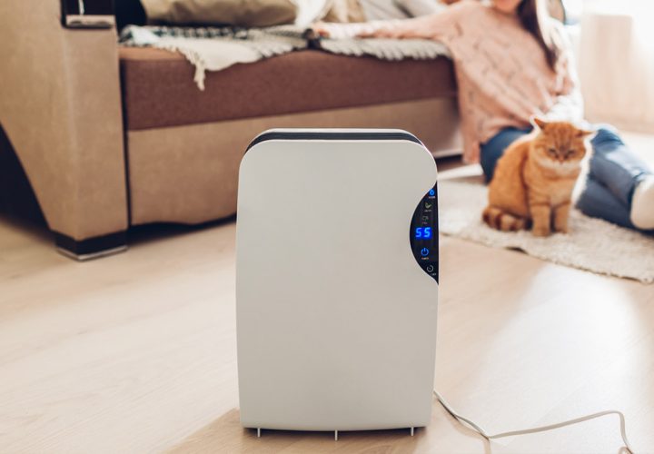 rekomendasi dehumidifer terbaik