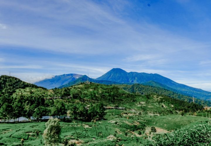 tempat wisata gratis di Bogor