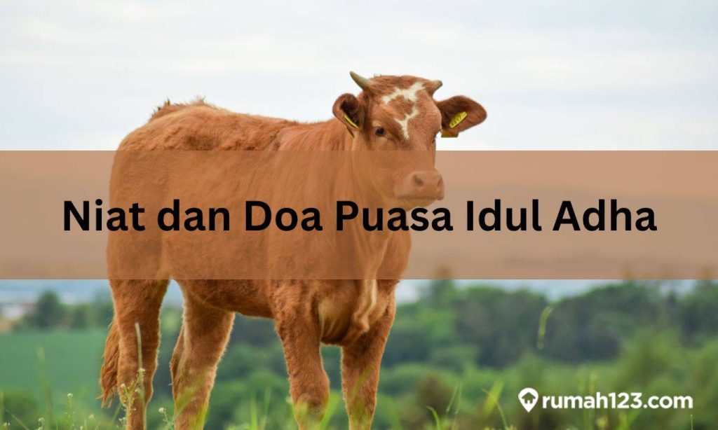 Niat atau Doa Puasa Idul Adha Bahasa Arab, Latin, dan Artinya