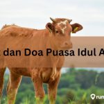 Niat atau Doa Puasa Idul Adha Lengkap dalam Bahasa Arab, Latin, dan Terjemahannya. Umat Islam Wajib Tahu!